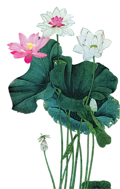 【PNG素材网-png.mixinnet.cn】png中秋节月饼月亮装饰元素
@郭设计师