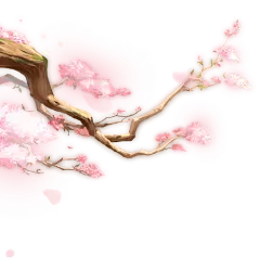 【PNG素材网-png.mixinnet.cn】花瓣绿叶