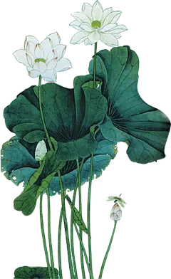 【PNG素材网-png.mixinnet.cn】png中秋节月饼月亮装饰元素
@郭设计师