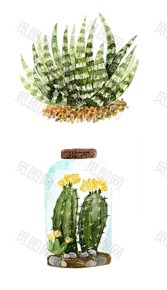 手绘春季春天绿植鲜花热带花盆栽免抠_PNG：