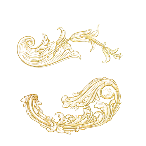 【PNG素材网-png.mixinnet.cn】装饰品, 花的, 维多利亚时代的, 金子, 优质的, 分隔线, 边境, 曲线灵感