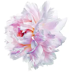 【PNG素材网-png.mixinnet.cn】37SlgG 141201_YS_WP2_Flower1_CMYK.tif