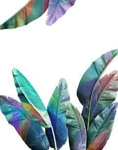 【PNG素材网-png.mixinnet.cn】树叶植物叶子PNG素材