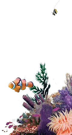 【PNG素材网-png.mixinnet.cn】SEA LIFE 부산아쿠아리움