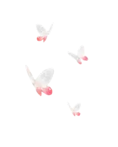 【PNG素材网-png.mixinnet.cn】♡古风免扣素材♡蝴蝶
