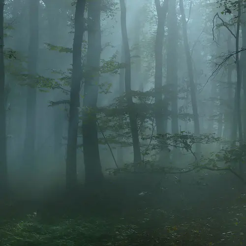 【PNG素材网-png.mixinnet.cn】图片背景