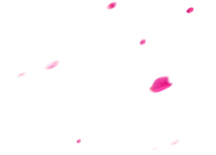 【PNG素材网-png.mixinnet.cn】Plant_写实
