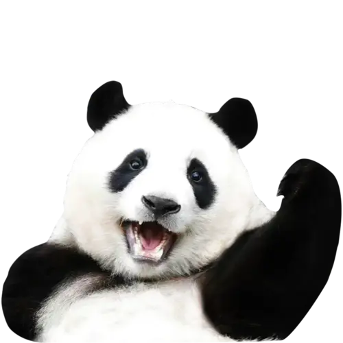 【PNG素材网-png.mixinnet.cn】熊猫2@3x动物熊猫PNG图片