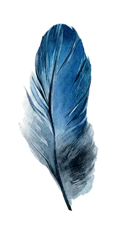 【PNG素材网-png.mixinnet.cn】[美工云]手绘水彩鸡毛羽毛_免抠PNG：