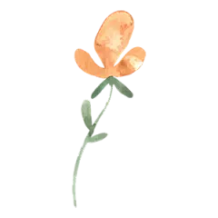 【PNG素材网-png.mixinnet.cn】水彩手绘花卉PNG免抠图