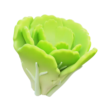 【PNG素材网-png.mixinnet.cn】生菜