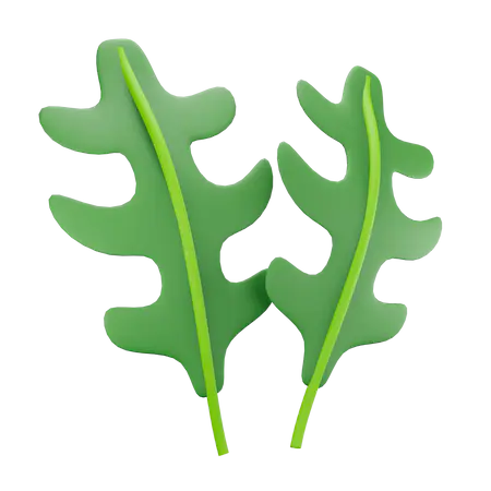 【PNG素材网-png.mixinnet.cn】芝麻菜