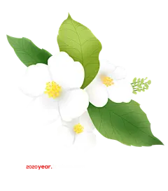 【PNG素材网-png.mixinnet.cn】春天春季鲜花手绘免抠元素_PNG：