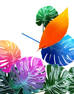 【PNG素材网-png.mixinnet.cn】叶素材