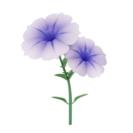 【PNG素材网-png.mixinnet.cn】矮牵牛