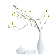 【PNG素材网-png.mixinnet.cn】素雅花瓶