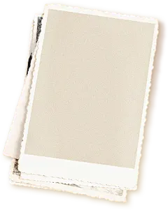 【PNG素材网-png.mixinnet.cn】20210308-111900-7813.png (969×1217)
