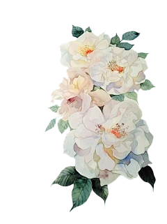【PNG素材网-png.mixinnet.cn】花png@余人白