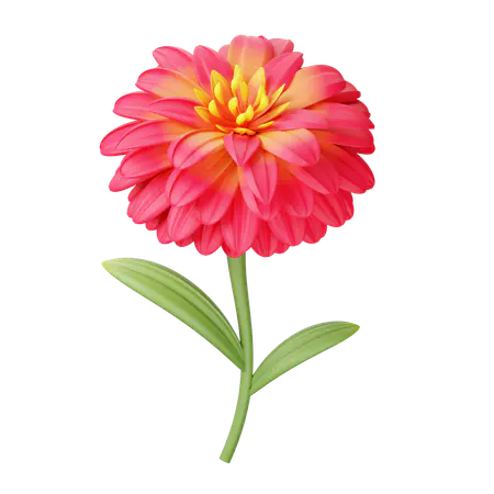 【PNG素材网-png.mixinnet.cn】百日草