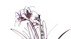 【PNG素材网-png.mixinnet.cn】桃花依旧笑春风