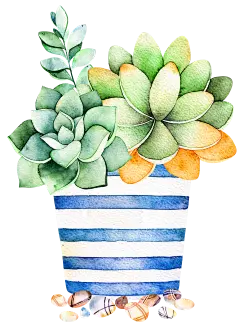 【PNG素材网-png.mixinnet.cn】多肉PNG