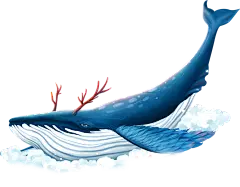 【PNG素材网-png.mixinnet.cn】鲸鱼素材