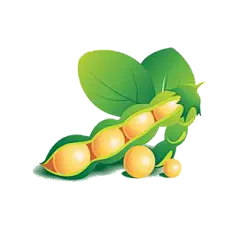【PNG素材网-png.mixinnet.cn】【5谷杂粮 - 农产品】