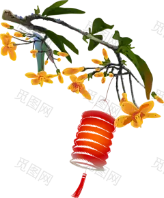 桂花灯笼