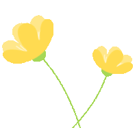 【PNG素材网-png.mixinnet.cn】GIF动画透明动图