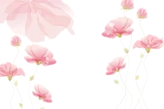 【PNG素材网-png.mixinnet.cn】免扣背景PNG素材#粉色花#