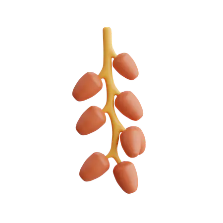 【PNG素材网-png.mixinnet.cn】日期