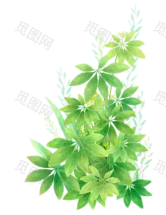 手绘鲜花绿植树叶免抠__PNG：