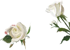 【PNG素材网-png.mixinnet.cn】flowerrb.png (1087×780)