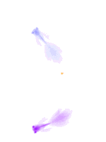 【PNG素材网-png.mixinnet.cn】鱼GIF动画透明动图