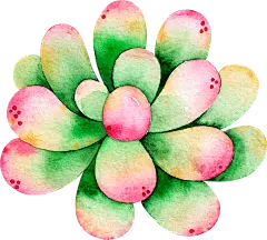 【PNG素材网-png.mixinnet.cn】多肉PNG