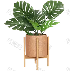 盆栽 植物 绿色叶子 透明素材 png 免扣素材 