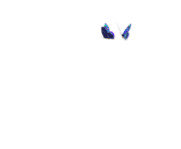 【PNG素材网-png.mixinnet.cn】蝶-gifGIF动画透明动图