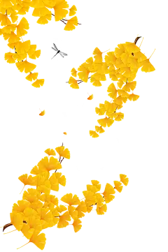 【PNG素材网-png.mixinnet.cn】银杏