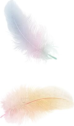 【PNG素材网-png.mixinnet.cn】鸟毛 高清免抠素材