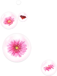 【觅图网-pic.51mitu.com】PNG素材#免抠图#漂浮素材#植物素材 #花朵素材#
@冒险家的旅程か★