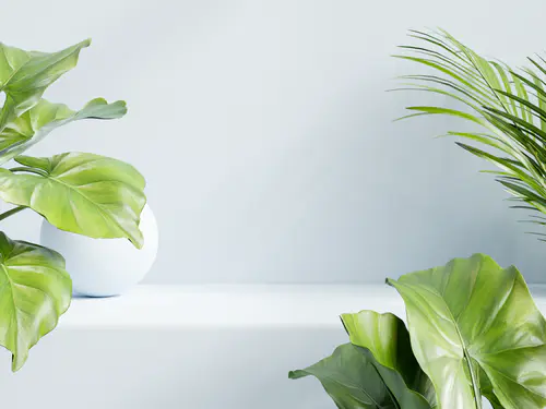 【PNG素材网-png.mixinnet.cn】1 (39)