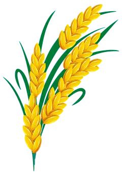 【PNG素材网-png.mixinnet.cn】926a9a633a9f4d9daa464d8683e9b6144a79651143590-lLYvZr