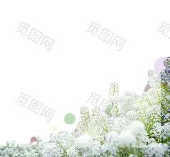 [美工云]春天气息郊游海报PSD模板_-油菜花PNG：