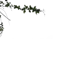 【PNG素材网-png.mixinnet.cn】2865688-2