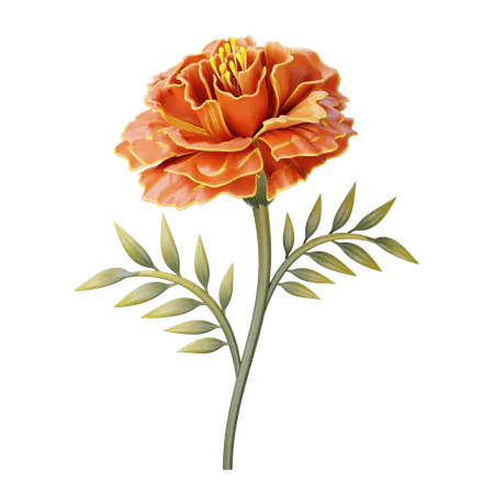 【PNG素材网-png.mixinnet.cn】万寿菊