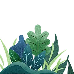 【PNG素材网-png.mixinnet.cn】植物树叶装饰