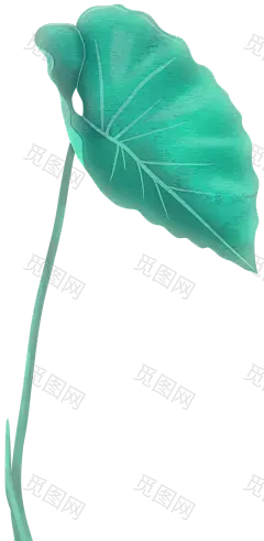 手绘树叶荷叶免抠_PNG：