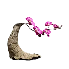 【PNG素材网-png.mixinnet.cn】a9859d874c9f72a3b7296a846e48f3e8
