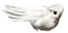 【PNG素材网-png.mixinnet.cn】#动物##免抠图片#PNG元素