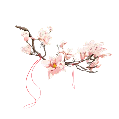 【PNG素材网-png.mixinnet.cn】ForEnzo祖，植物，花，草，树，枝，叶，根，梅，兰，竹，菊，梨